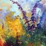 Plate-bande multicolore - 18x36